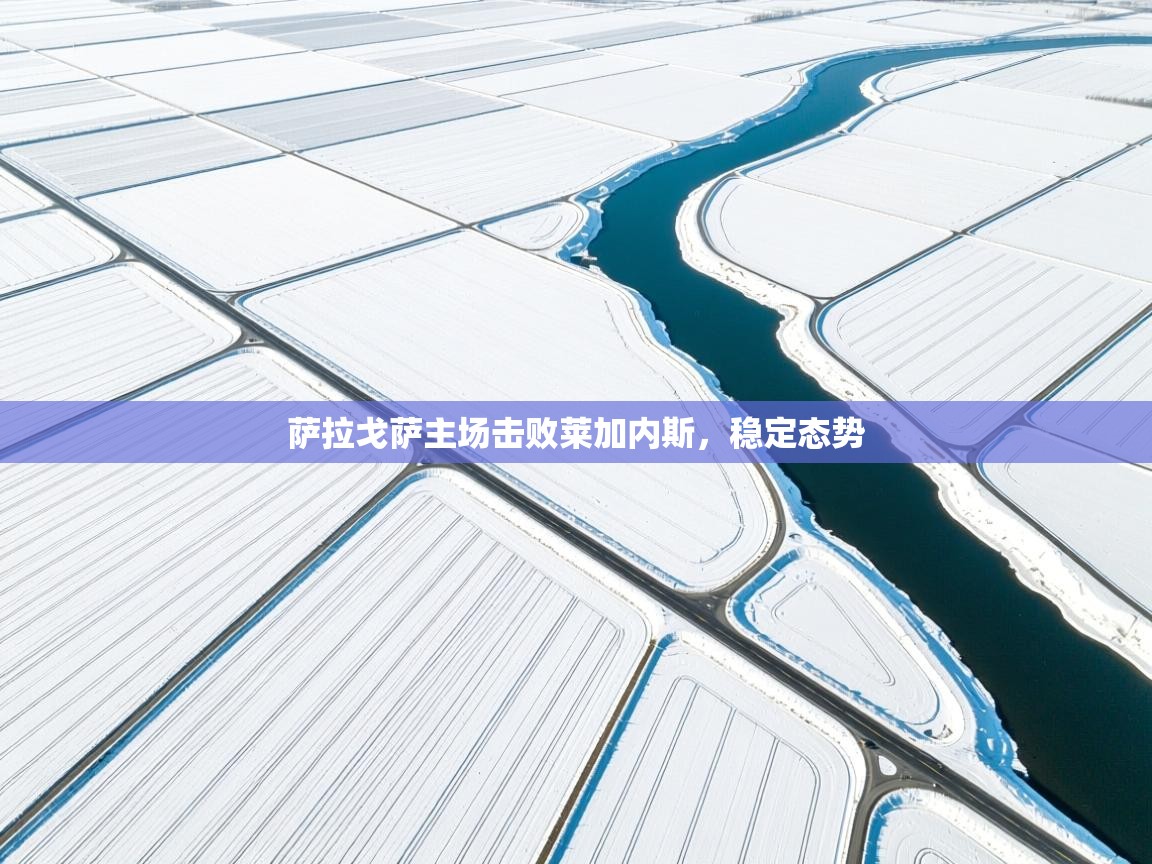 萨拉戈萨主场击败莱加内斯，稳定态势  第2张