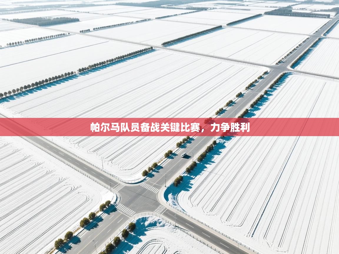 帕尔马队员备战关键比赛，力争胜利  第1张