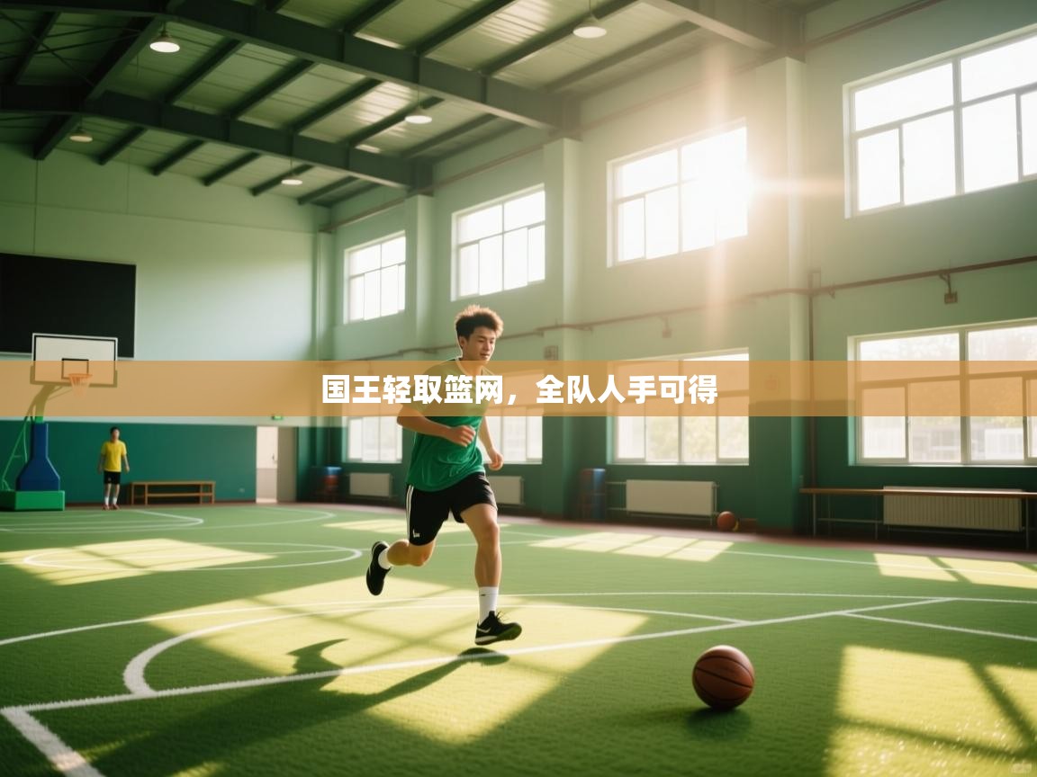 国王轻取篮网，全队人手可得  第1张