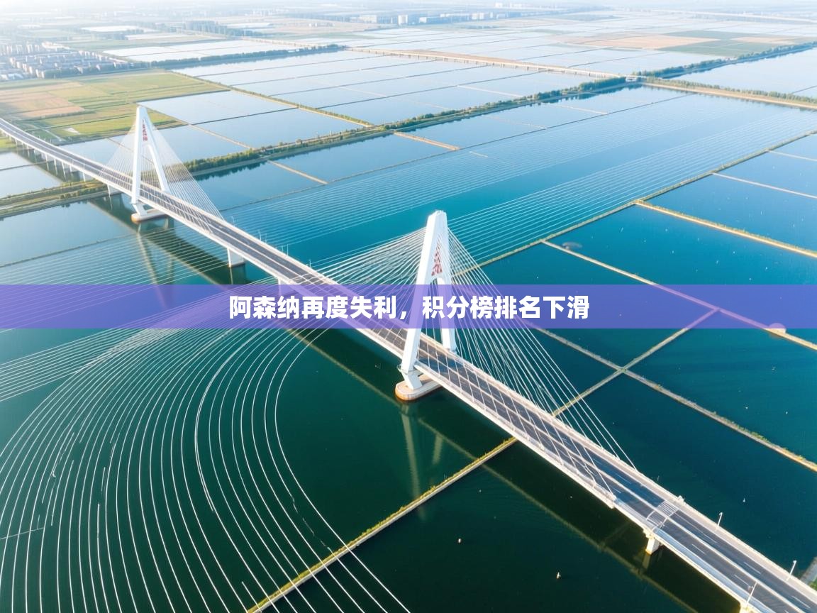 阿森纳再度失利,积分榜排名下滑 第1张