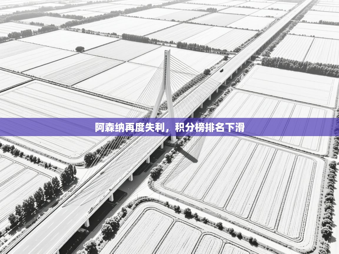 阿森纳再度失利,积分榜排名下滑 第2张