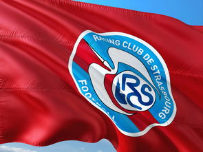 半岛体育登录入口-帕尔梅拉斯战术布置详解，主帅重点强调防守反击