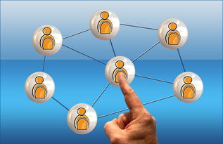 半岛体育入口-首席辅助重燃战火，球员集体努力晋级，首席助教主要负责什么