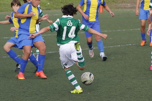 半岛app官网-伯恩茅斯逆转制胜，英超球队击败强敌